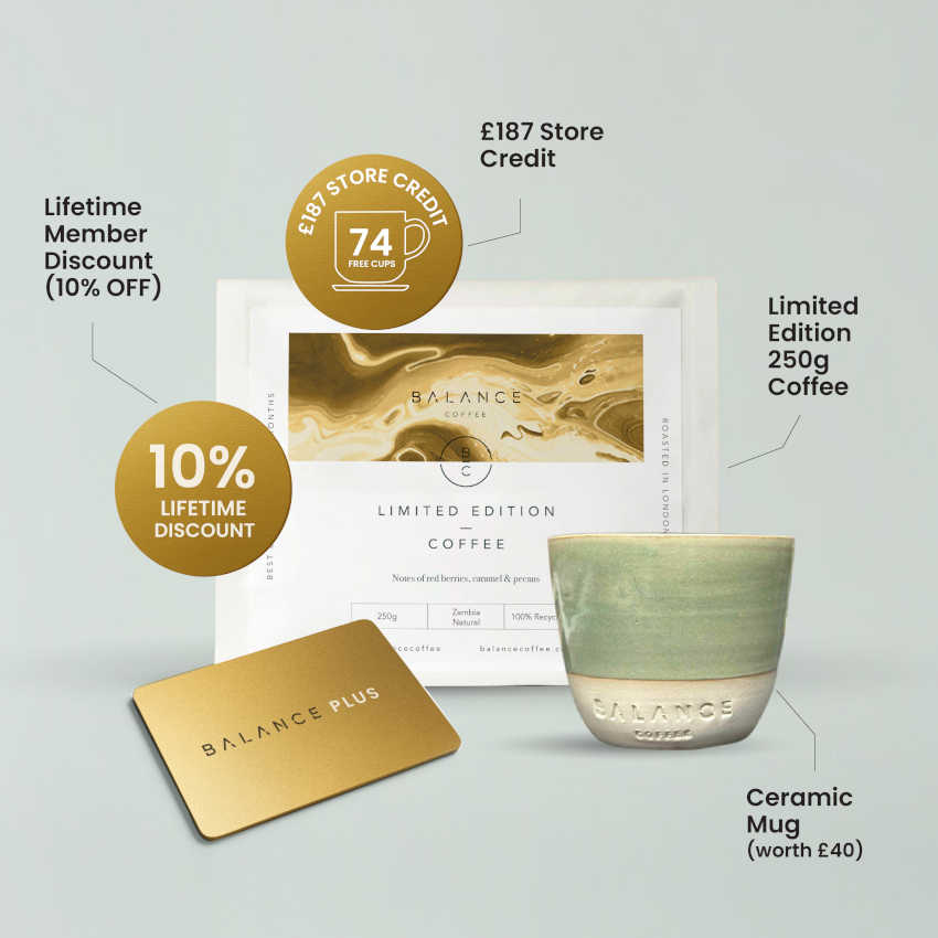 Balance Plus Card