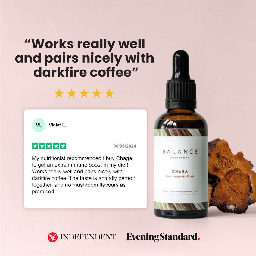 Chaga Elixir