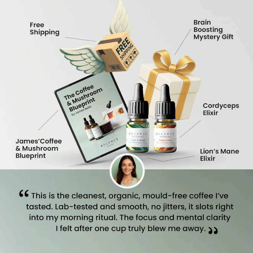 Ultimate Coffee Snobs Bundle - Every Sip Fuels Sharper Focus and a Calm Mind.