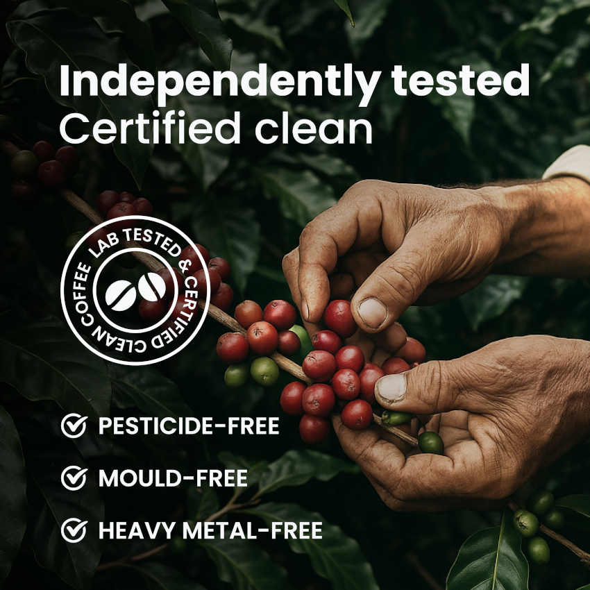 Halcyon Decaf Coffee