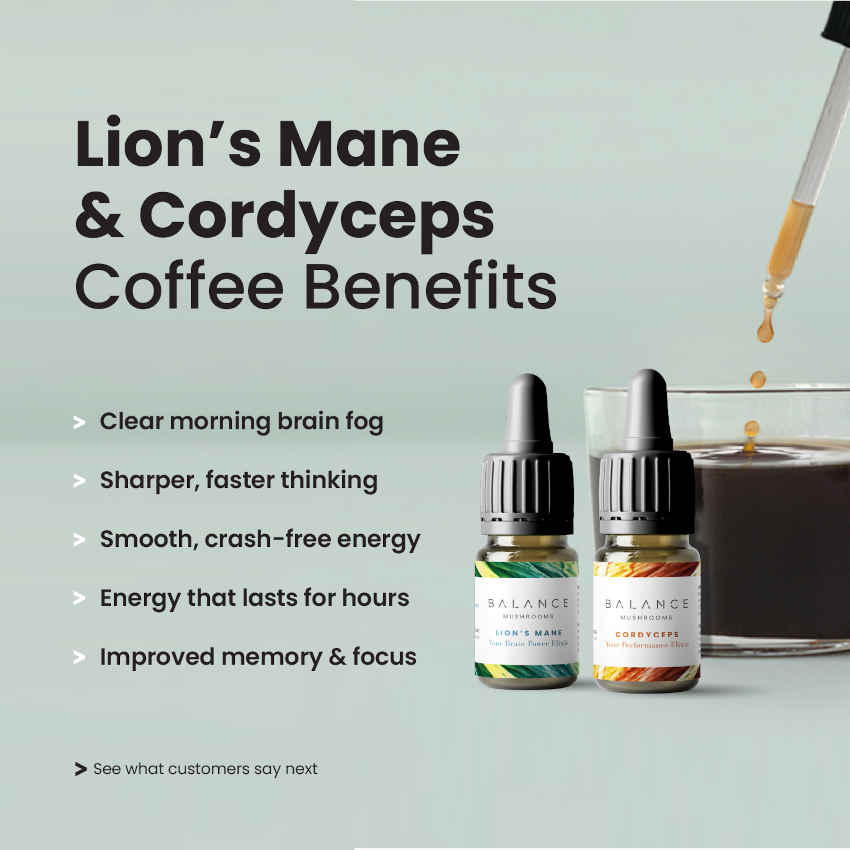 Ultimate Coffee Snobs Bundle - Every Sip Fuels Sharper Focus and a Calm Mind.